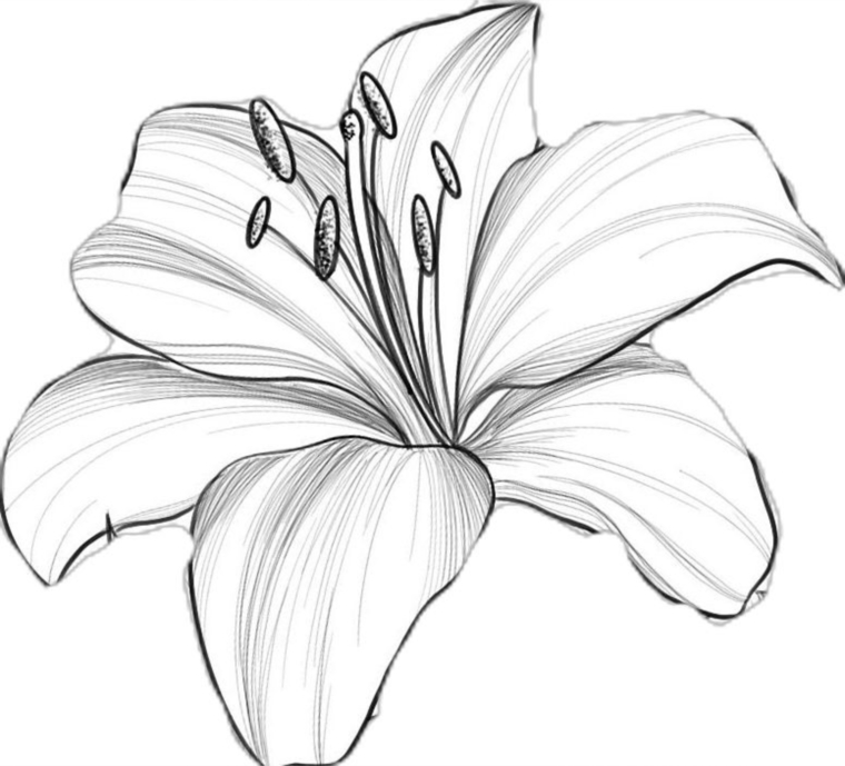 Mrs.lil22…. banner image