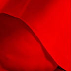 BBWSophie avatar