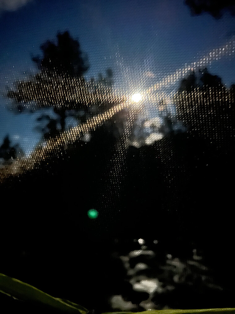 SaltyDrizzle cover image