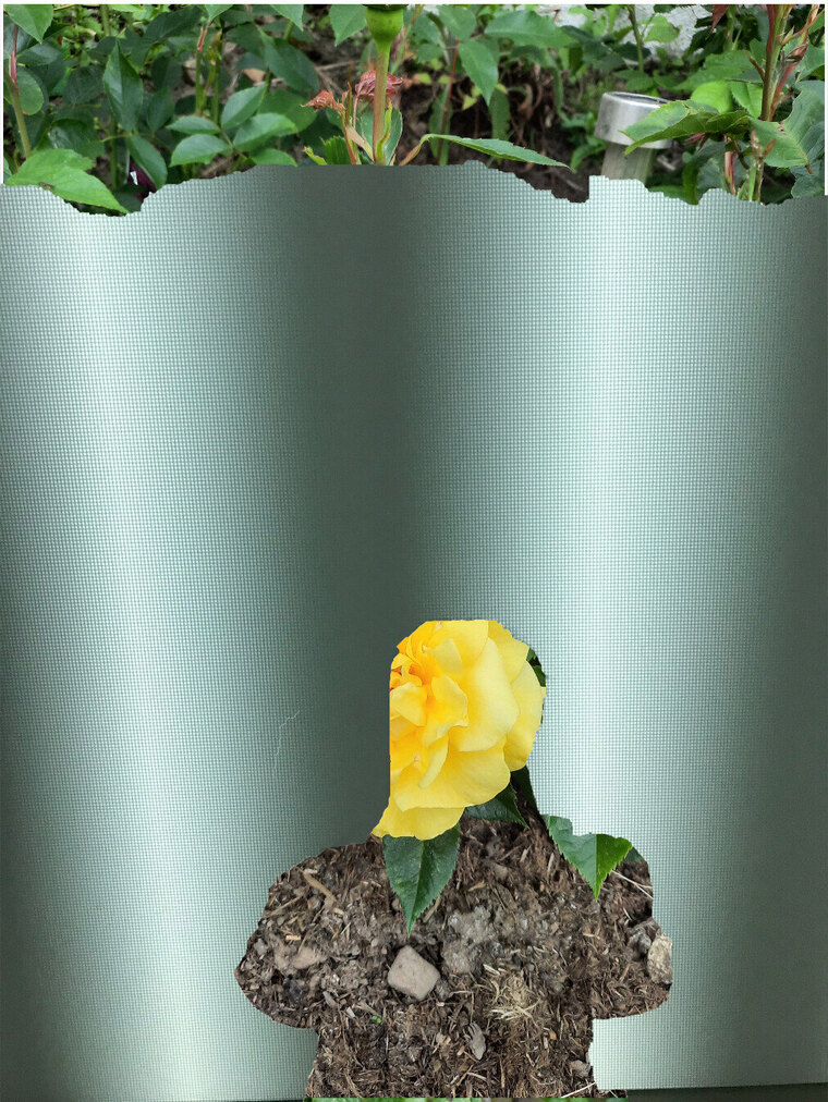 R0bott89 cover image