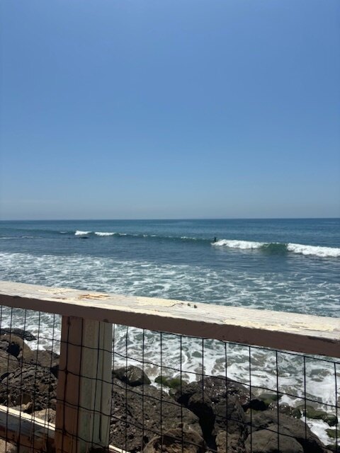 @MalibuSole banner image
