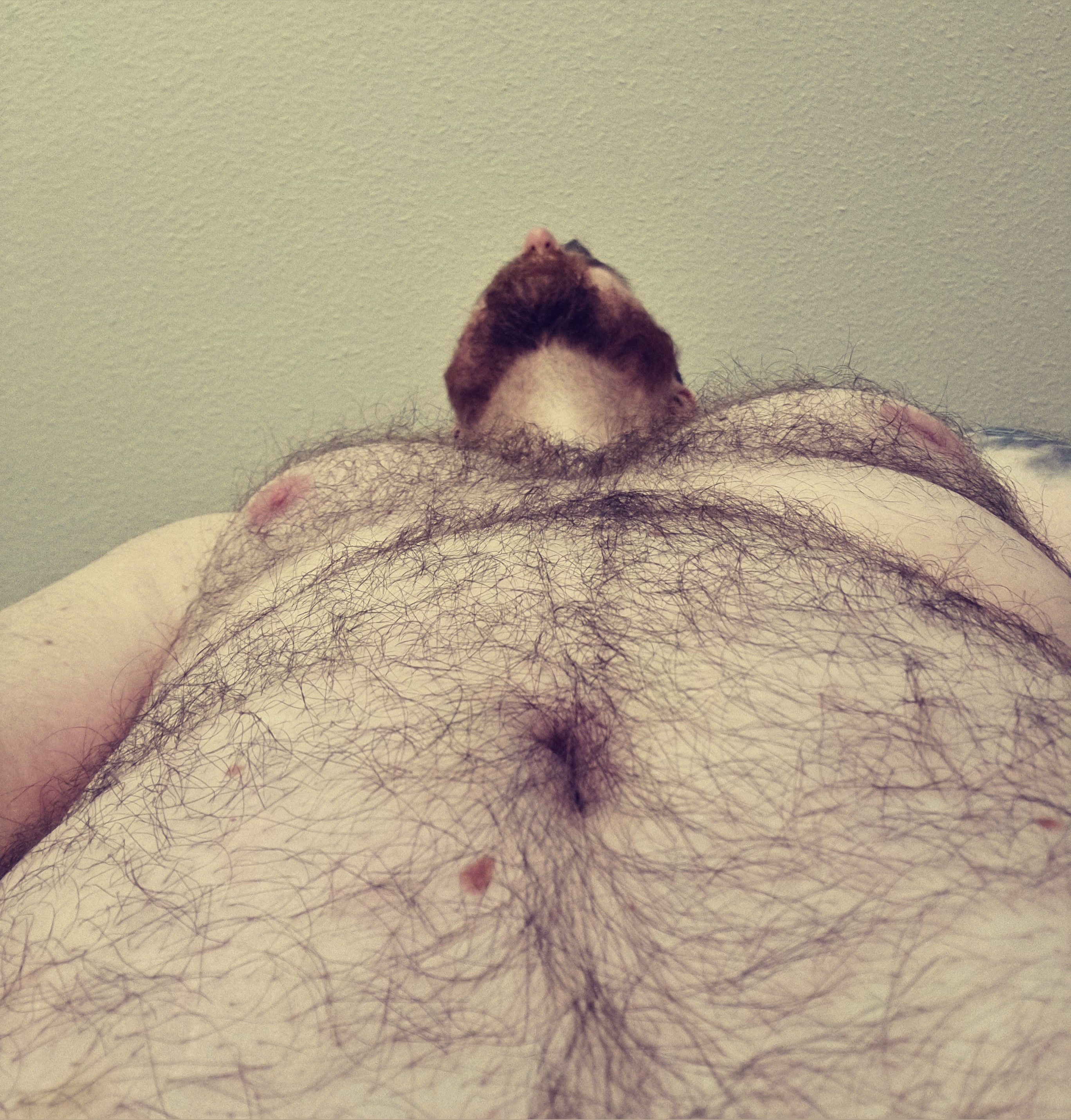 chubby.bear banner image