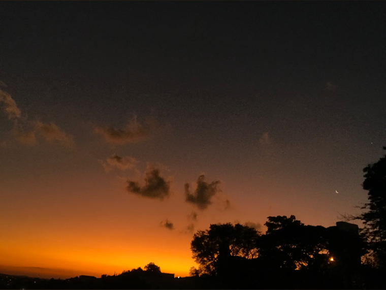 Drik banner image