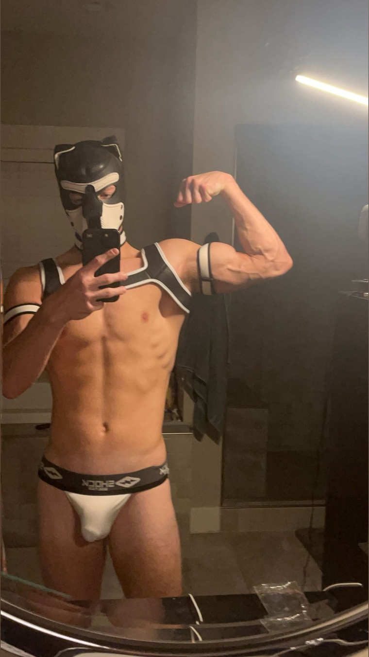 Jackdoh banner image