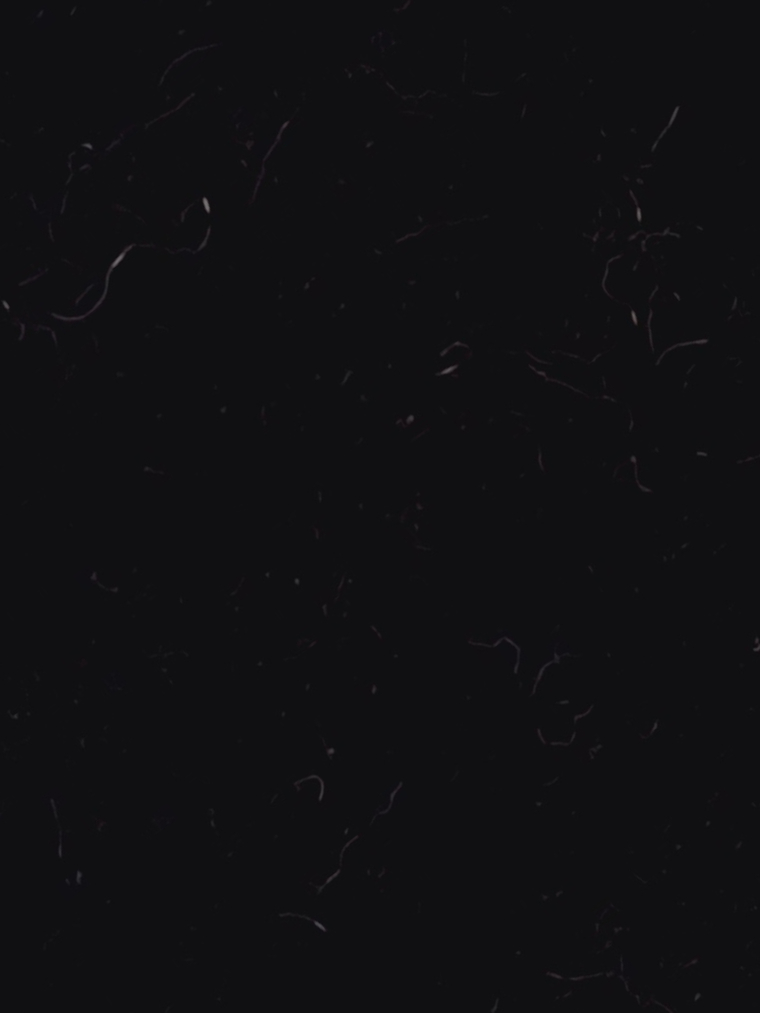 weedwedded banner image