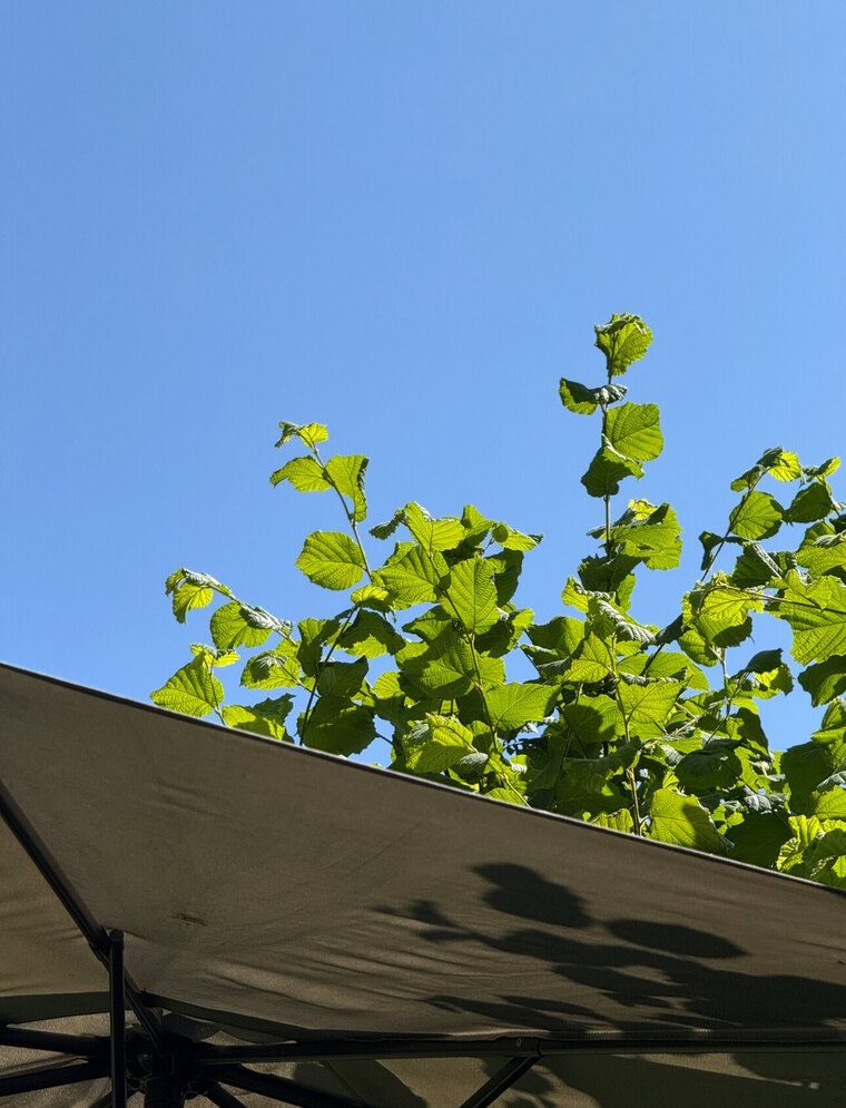 Keibir cover image