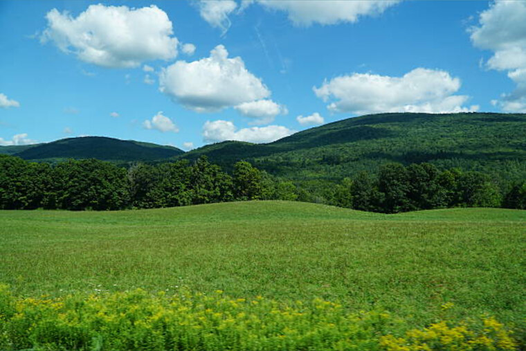 BlazinMountains cover image