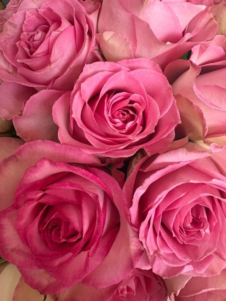Xxrated28 banner image