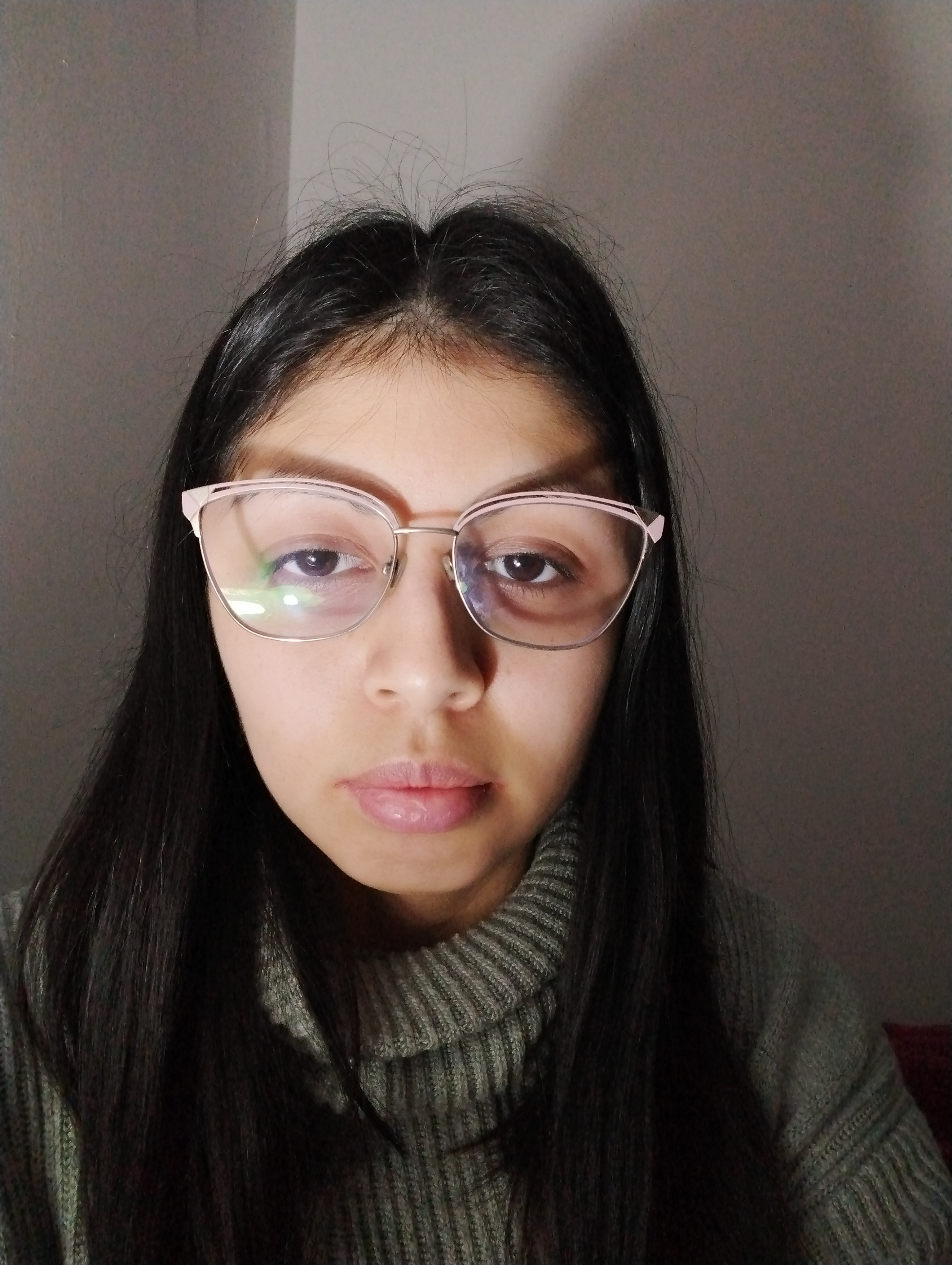 Erica Toledo banner image