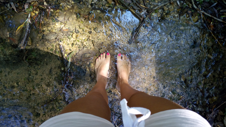 Hungarianlittlefeet banner image