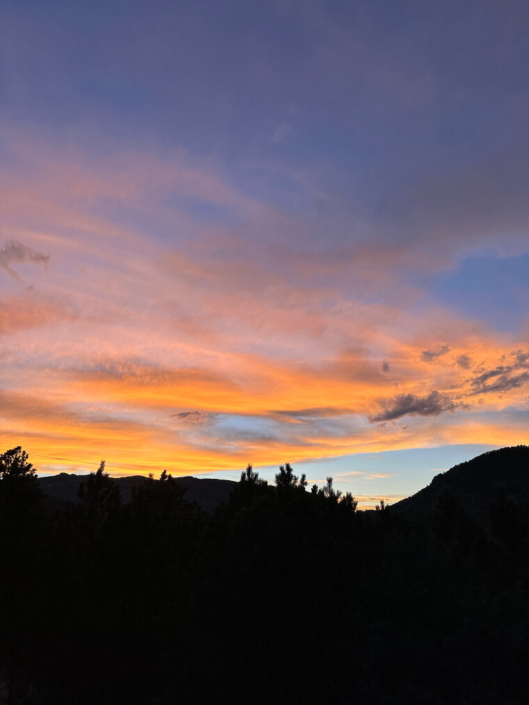 Ginger👑 cover image
