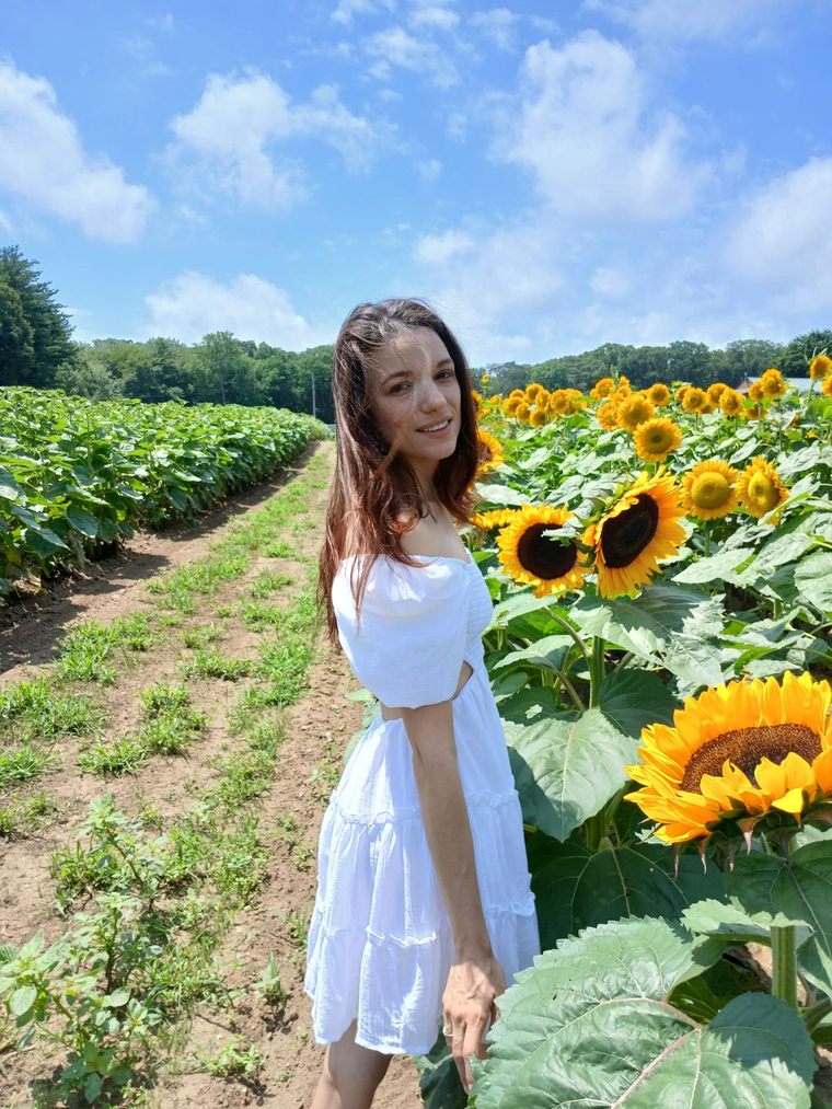Willow banner image