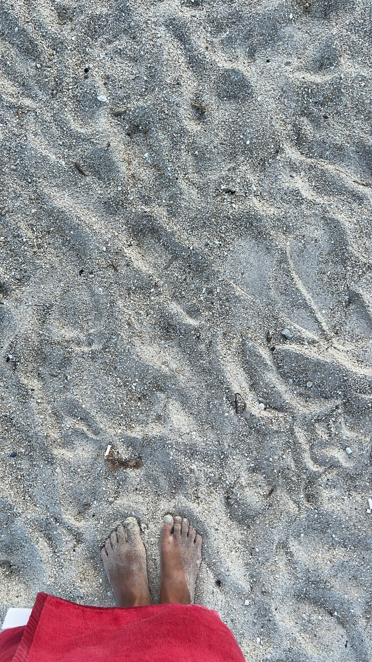 amsie banner image