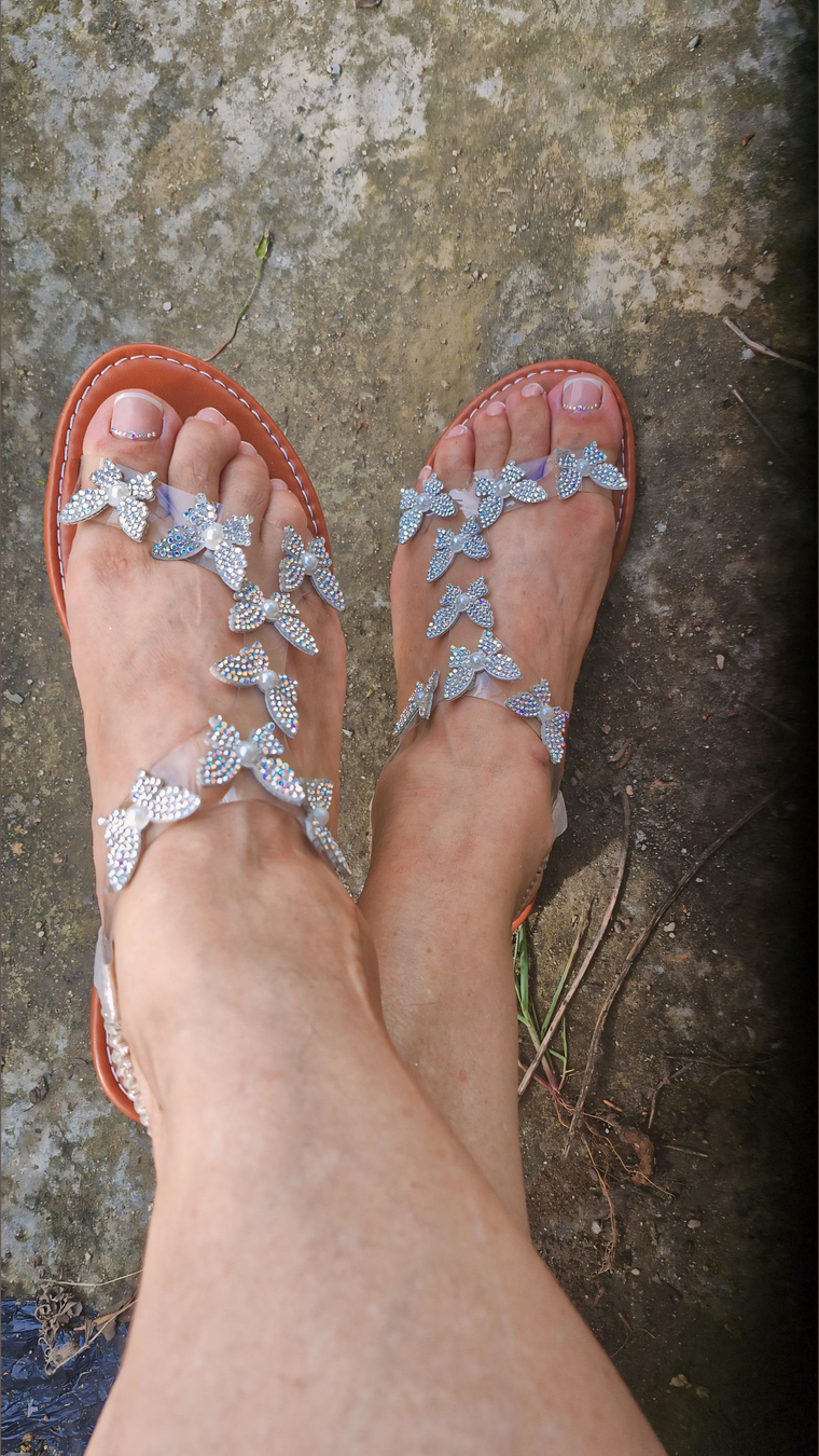 Mariposa latina cover image