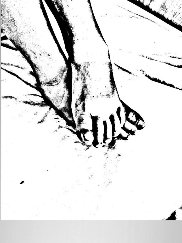 PetitEnigma cover image