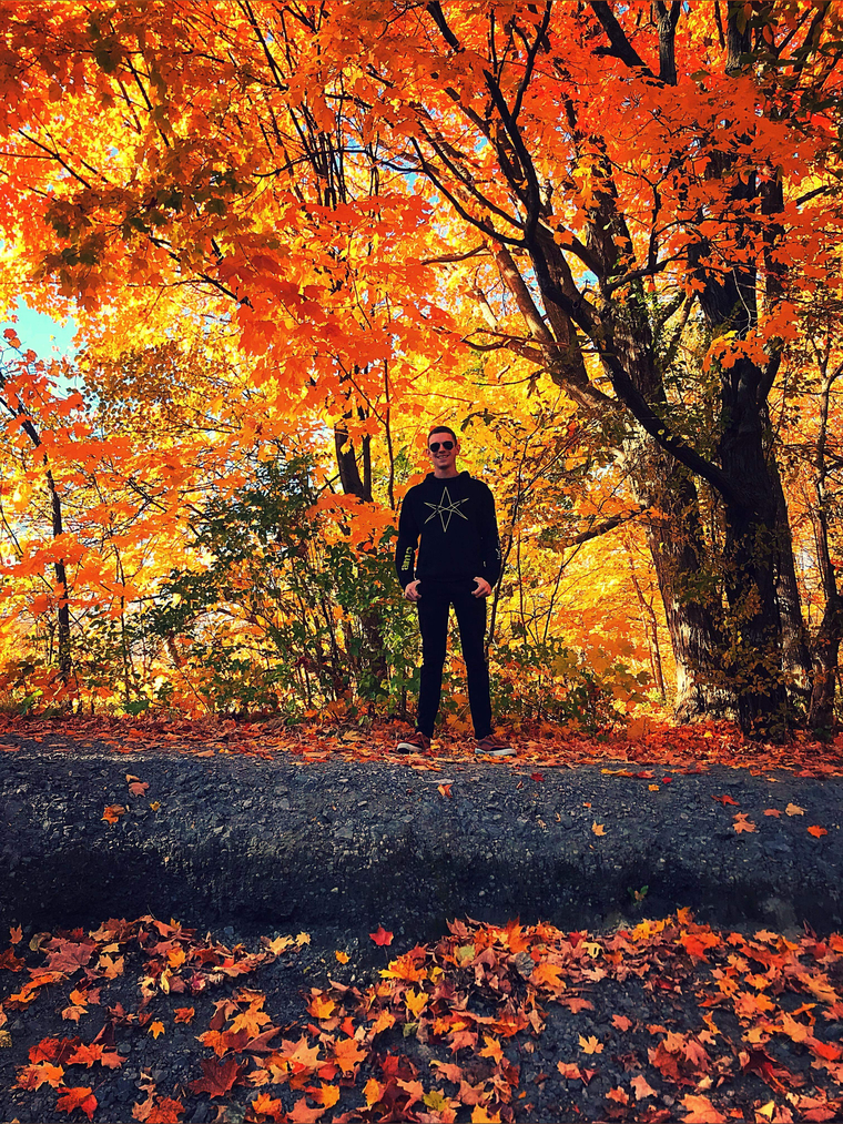David cover image