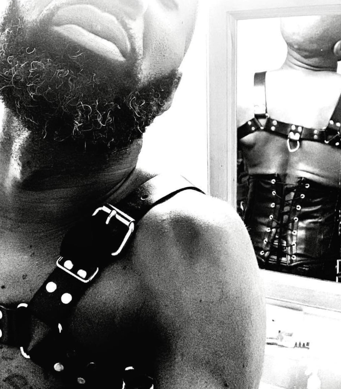 Catdaddy banner image