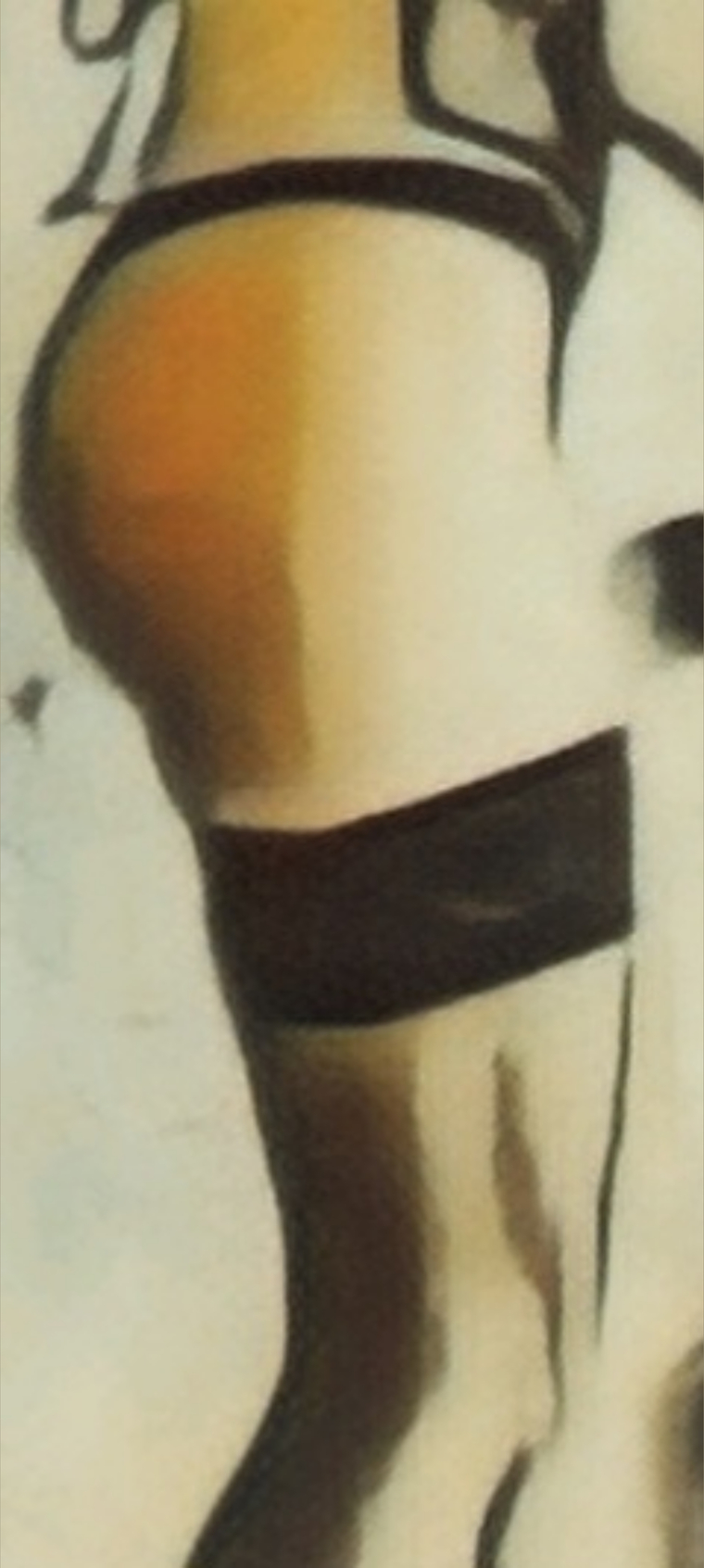 Stella d' Argento banner image