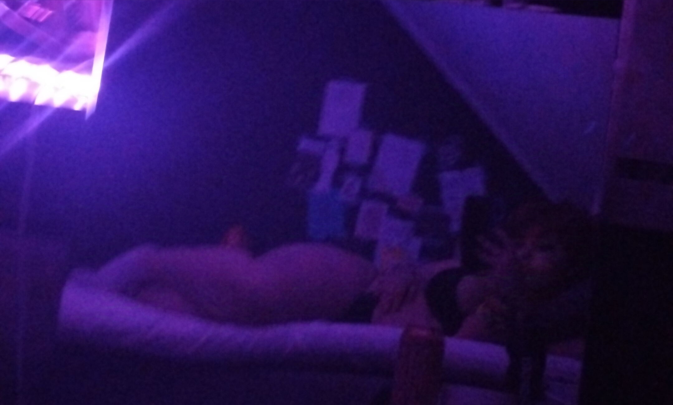 Kbunny banner image