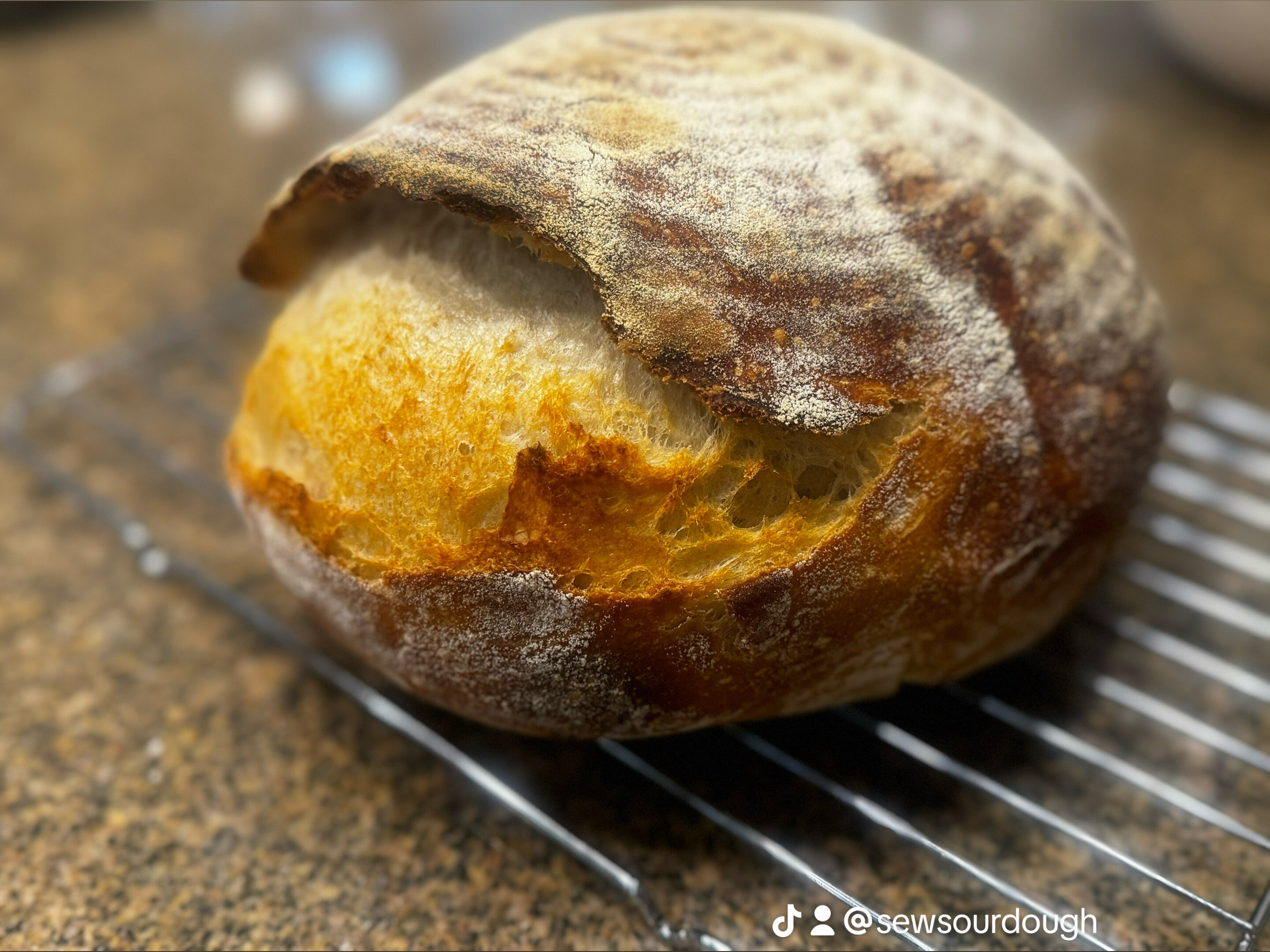 SewSourdough banner image