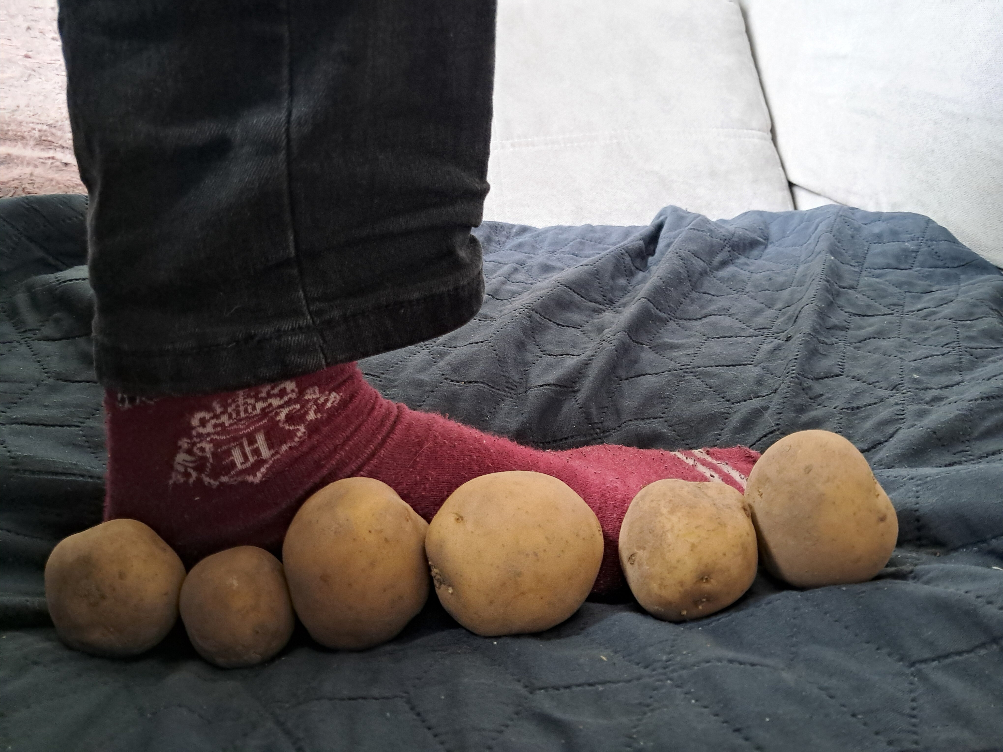 ViperPotato banner image