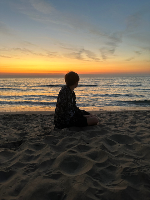 Majestic cover image
