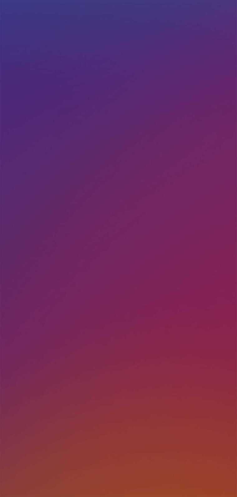 Estrellita banner image