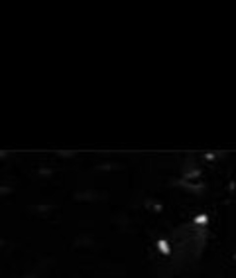 u456003984 banner image