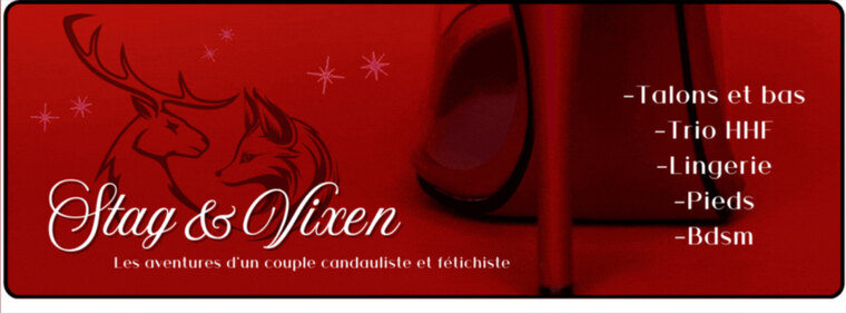 stagetvixen banner image