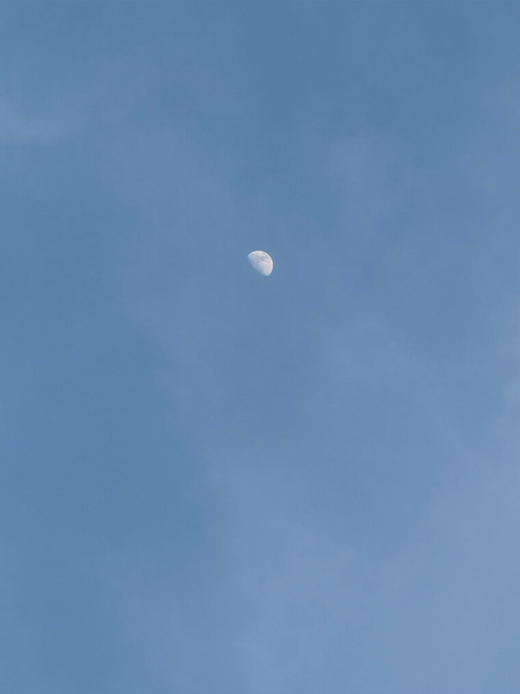 Mauro banner image