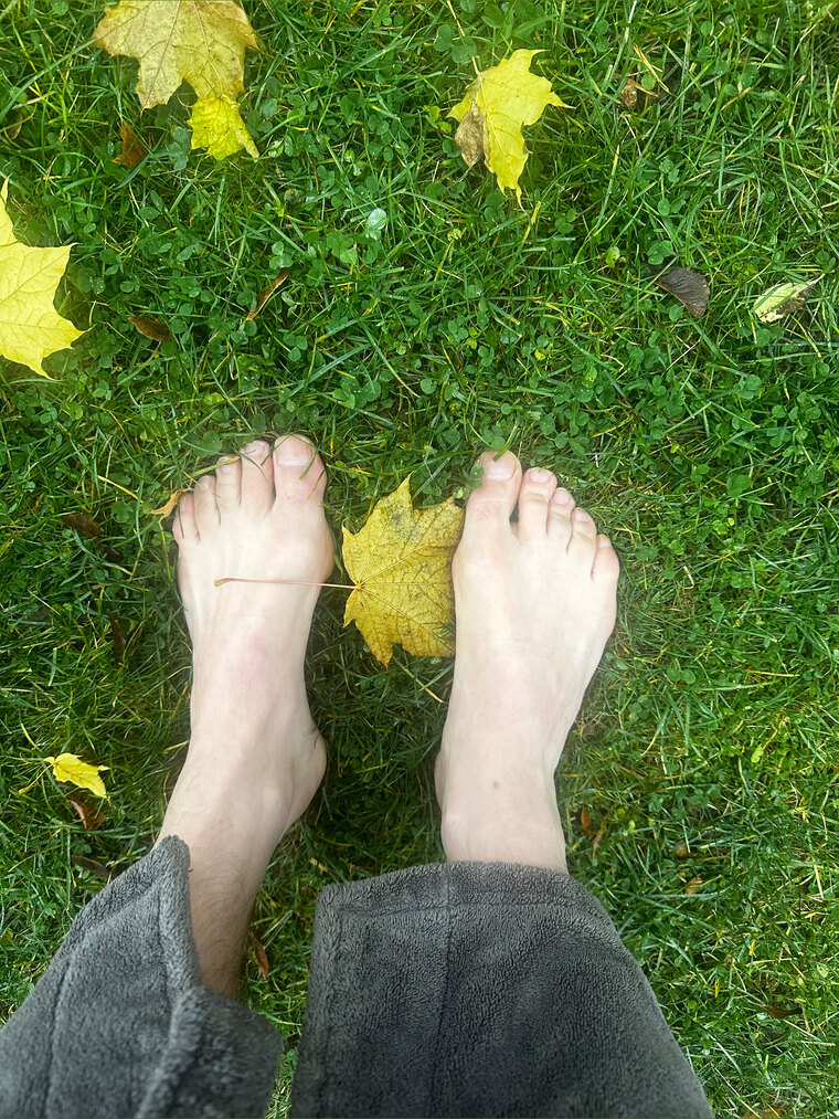Golden Legs cover image