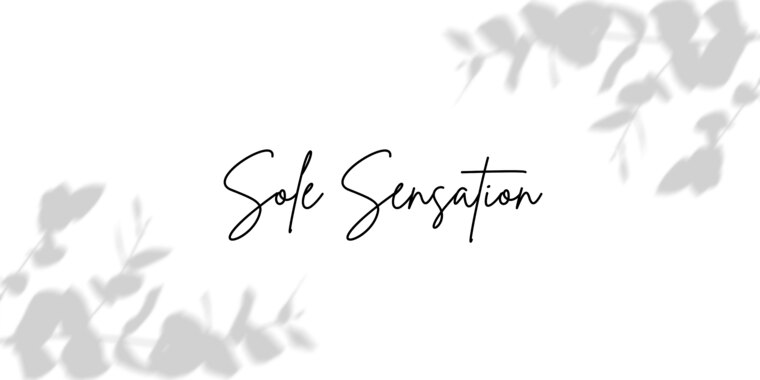 Sole Sensation banner image