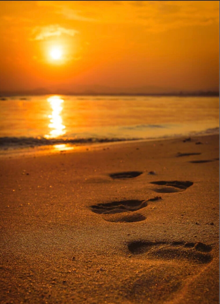 Mandysfeet cover image