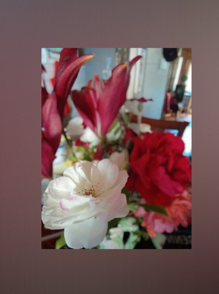 Carmen cover image