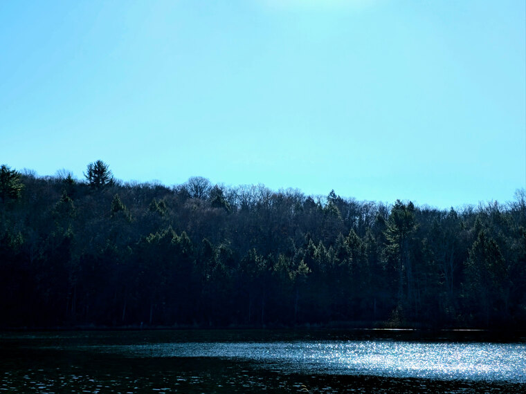 Melanie banner image