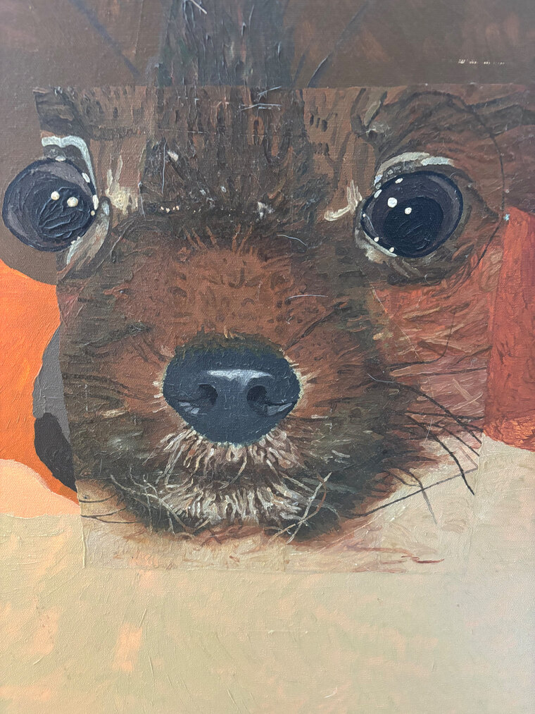 Norman Nonnweiler banner image