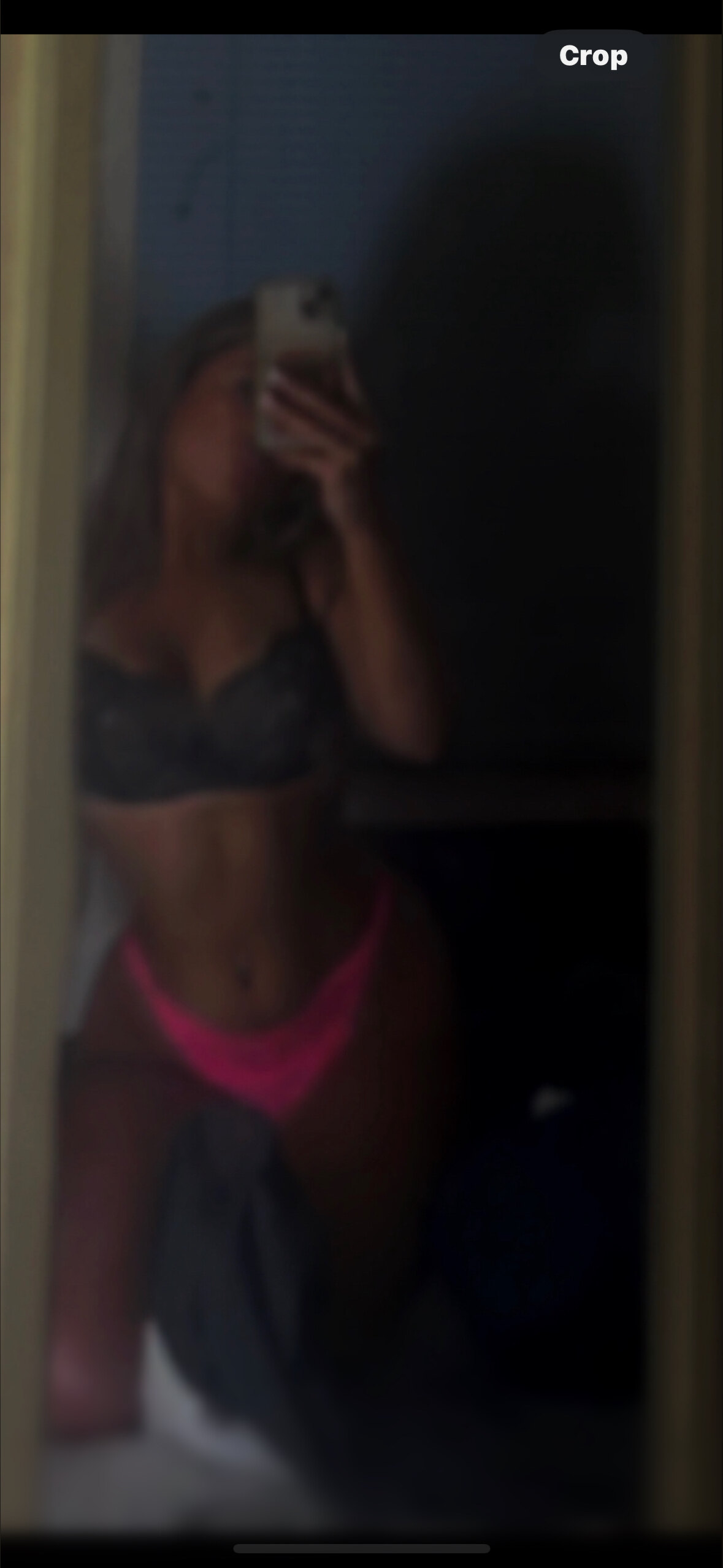 Thicklatinastella banner image