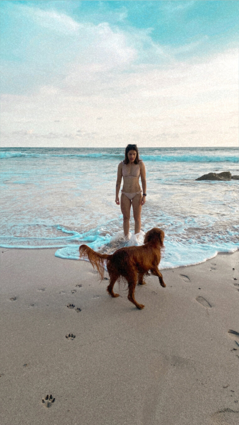 Angélica cover image