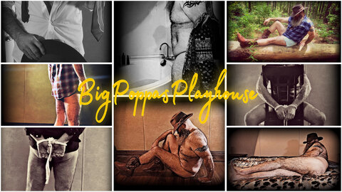 Big Poppa’s Playhouse cover image