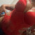 Thickslice avatar