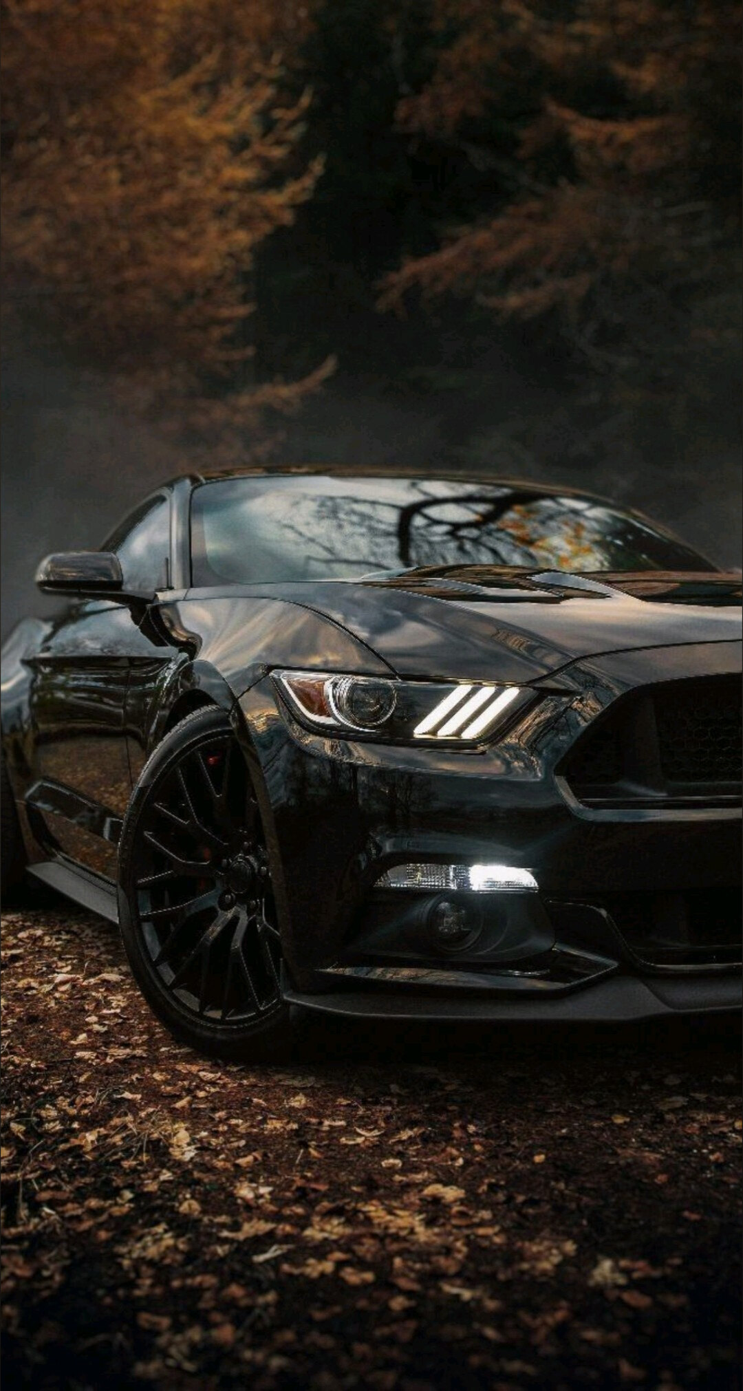 JJ_19 banner image