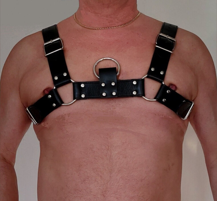 NordicgaysX2 cover image