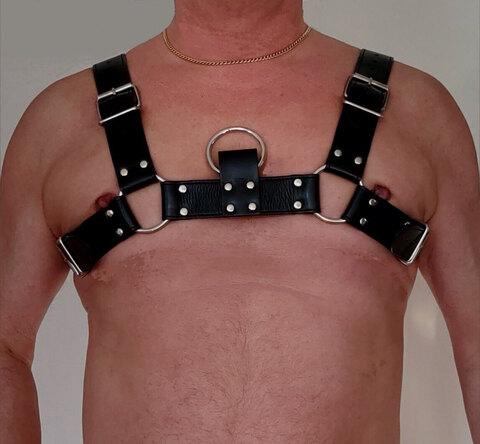 NordicgaysX2 cover image