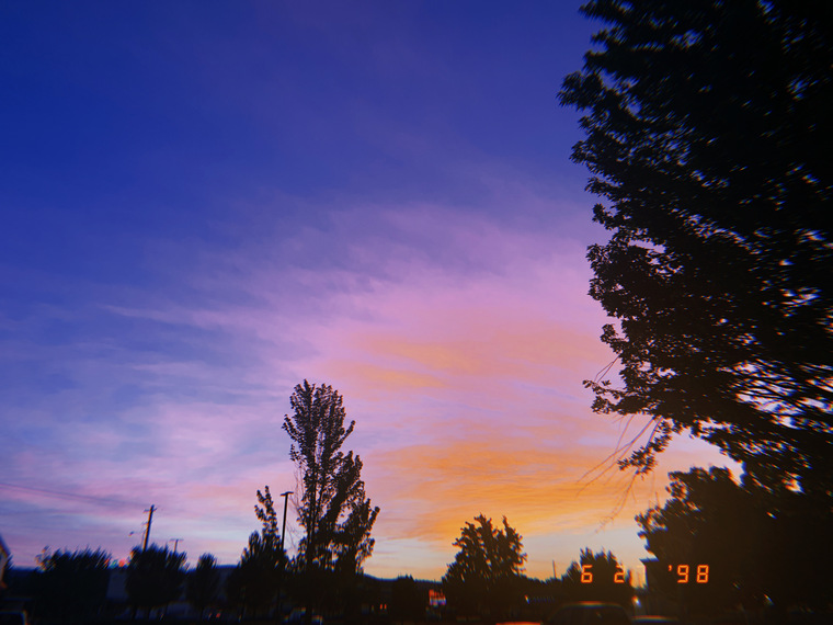 Cassi banner image