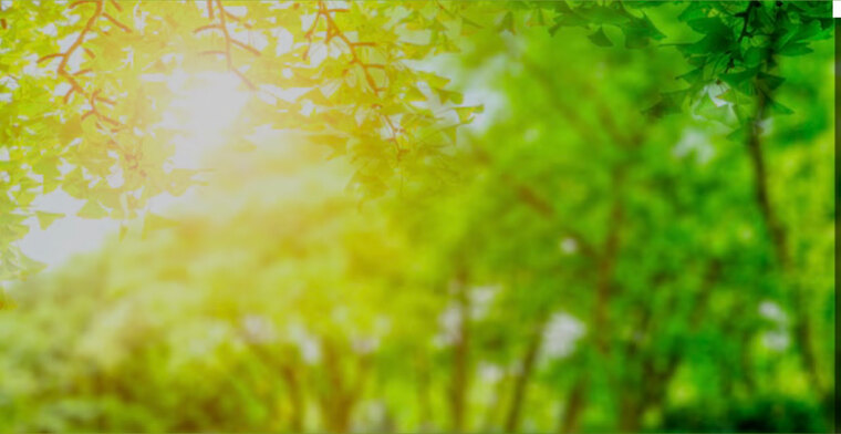 Fernanda___ cover image