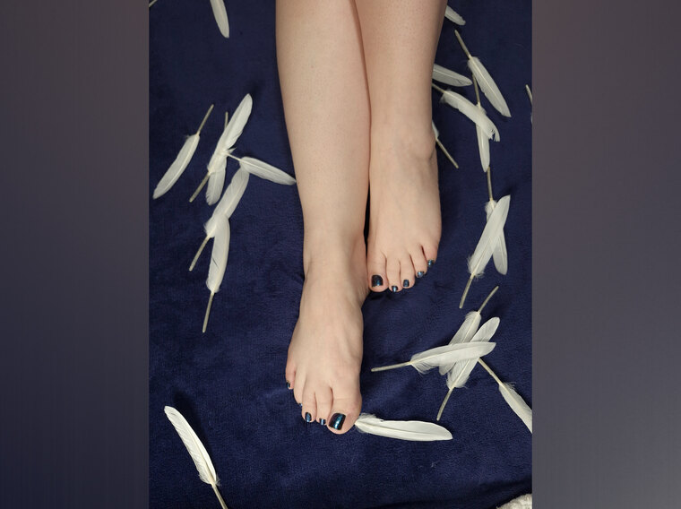 MissKittyFeet banner image