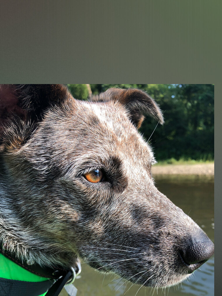 Jamie Uchtman cover image