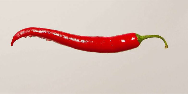 Spicy-9inch banner image