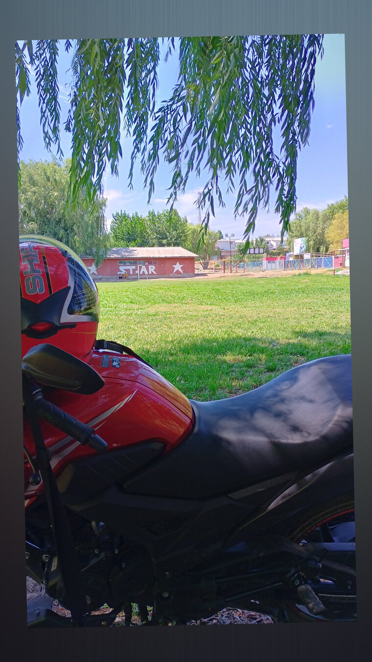 SammyDs banner image