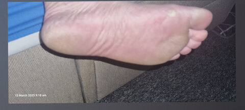 Katesdirrtyfeet cover image